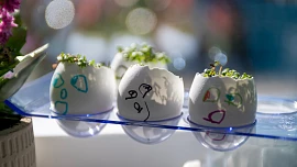 Skořápky z velikonočních vajíček nevyhazujte! Vyčistíte s nimi vázu, hrnec i utěrky a ještě poslouží jako hnojivo