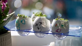 Skořápky z velikonočních vajíček nevyhazujte! Vyčistíte s nimi vázu, hrnec i utěrky a ještě poslouží jako hnojivo