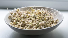 Nejlevnější zdroj vitamínů vyroste i v zavařovačce. Dopřejte si klíčky a buďte fit!