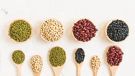 Mouky, jak je (ne)znáte: Nač se hodí čočková, kaštanová a k čemu banánová?