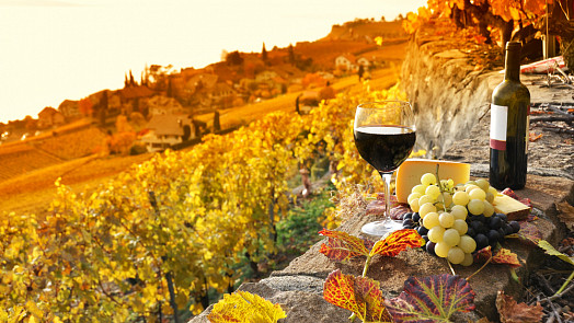 Nečekejte na vinobraní, vyrazte na Moravu za dobrým vínem na „Zarážání hory“