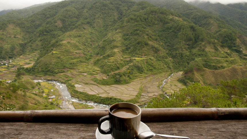 Ochutnejte nejvzácnější kávu světa - cibetkovou Kopi Luwak