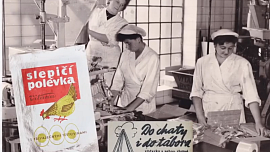 Retro okénko: Polévky ze sáčku stávaly 2 Kčs, děti milovaly písmenkovou, hrachovka se zase vylepšovala párkem
