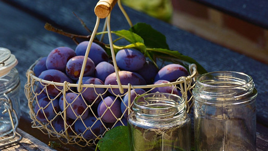 Jak na perfektní švestkový kompot? Kromě švestek stačí jen jedna ingredience a tenhle postup krok za krokem zvládne i začátečník