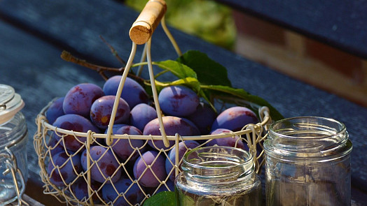 Jak na perfektní švestkový kompot? Kromě švestek stačí jen jedna ingredience a tenhle postup krok za krokem zvládne i začátečník