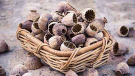 Makové mléko v obsahu vápníku předčí to kravské. Víte, jak je nejlépe doma udělat a čím se dá ochutit?