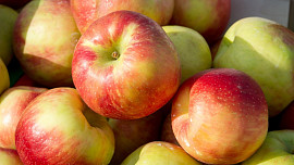 Jak dostat různé postřiky a pesticidy z ovoce? Pouhé omytí nestačí, ale pomůže ocet i soda, když se používají správně