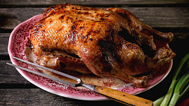 „Na svatého Martina, nejlepší je husina“ aneb Listopadové pranostiky nám napoví, poradí a taky zpříjemní podzim