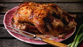 „Na svatého Martina, nejlepší je husina“ aneb Listopadové pranostiky nám napoví, poradí a taky zpříjemní podzim