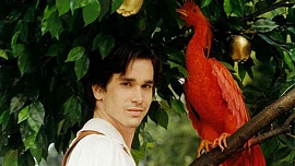 Recepty z pohádek: Jednoduché nepečené rumové kuličky ptáka Ohniváka