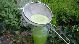 Okurková voda je zdravá limonáda plná vitamínů a bez cukru. Hravě ji připravíte i doma