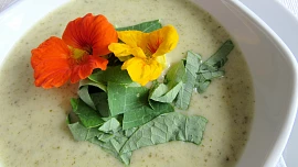 Byliny v kuchyni: Lichořeřišnice vyléčí zánět a skvěle ochutí salát i polévku