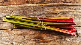 Rebarbora, jak ji neznáte: Slané recepty ze sezónní dobroty určitě zkuste!