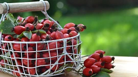 Šípkový med bez vaření: Poklad ze spíží našich babiček si i dnes připravíme snadno a rychle