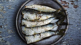 Ryby jsou plné vitamínů a zdravých tuků. Podle čeho poznáte opravdu čerstvý kousek?