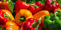 Dozvuk letních barev v podzimní kuchyni! Dopřejte si dobroty z paprik, které potěší i náročné strávníky