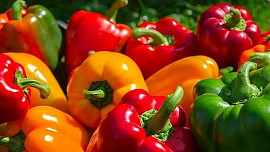 Dozvuk letních barev v podzimní kuchyni! Dopřejte si dobroty z paprik, které potěší i náročné strávníky