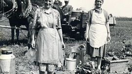 Družstevníci na přelomu 50. a 60. let řešili mouchy v jídle, čistou vodu i hygienické předpisy