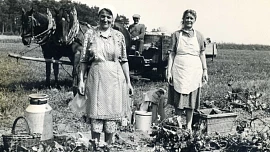 Družstevníci na přelomu 50. a 60. let řešili mouchy v jídle, čistou vodu i hygienické předpisy