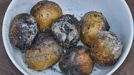 Brambory v popelu aneb Malý návrat do dětství. Víte, jak je správně připravit?