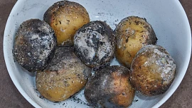 Brambory v popelu aneb Malý návrat do dětství. Víte, jak je správně připravit?