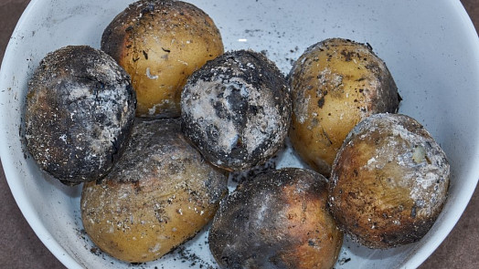 Brambory v popelu aneb Malý návrat do dětství. Víte, jak je správně připravit?