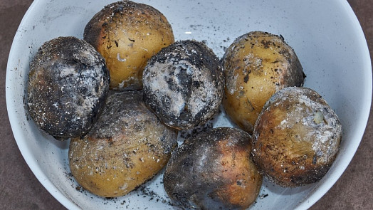 Brambory v popelu aneb Malý návrat do dětství. Víte, jak je správně připravit?