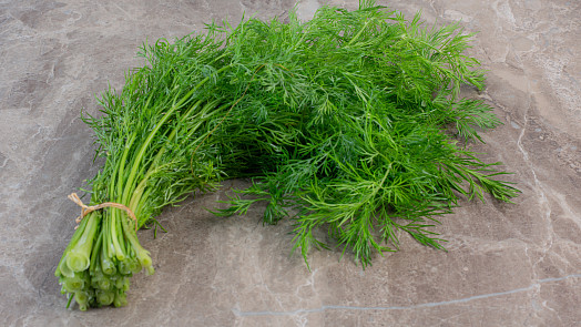 Díky snadnému triku uchováte kopr déle čerstvý: Stačí trocha obyčejné kuchyňské soli