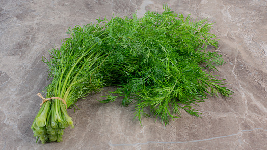 Díky snadnému triku uchováte kopr déle čerstvý: Stačí trocha obyčejné kuchyňské soli