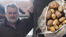 Farmář Josef Pech radí, jak nakupovat brambory: Neberte ty viditelně poškozené, dobrá brambora vydrží i horší podmínky, říká