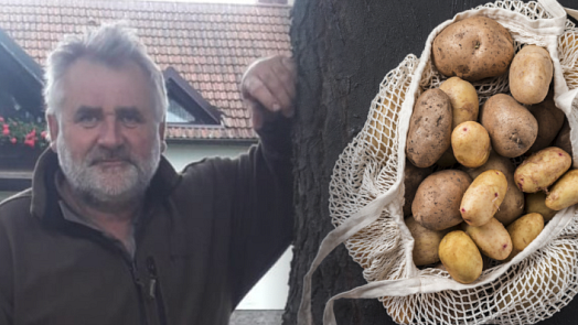 Farmář Josef Pech radí, jak nakupovat brambory: Neberte ty viditelně poškozené, dobrá brambora vydrží i horší podmínky, říká