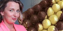 Fantastické dýňové tiramisu podle Terezy z Peče celá země: Voní kávou a skořicí a děti ho milují ve verzi s jablečným moštem