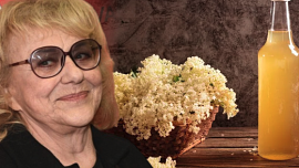 Iva Hüttnerová prozradila recept na bezový sirup: Jeden krok rozhoduje o dokonalém výsledku