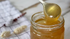 Léčivý med pomáhá proti bakteriím i kašli. Je lepší světlý, nebo tmavý?