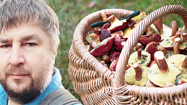 Mykolog Petr Souček radí, kam se vydat na houby a jak i z dálky poznat, že se asi vrátíte s plným košíkem