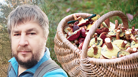 Mykolog Petr Souček radí, kam se vydat na houby a jak i z dálky poznat, že se asi vrátíte s plným košíkem