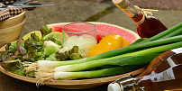 Pět jídel s jarní cibulkou: Jednoduchá jarní polévka, pestrý a osvěžující tvarohový salát nebo pikantní marinovaná asijská kachna