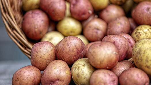 Správně uskladněné brambory vám v bytě vydrží dlouhé měsíce. Zabránit klíčení pomůže obyčejná tma