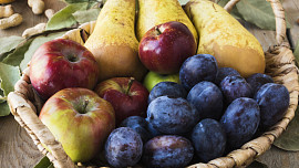Sezona v září: Čas vinobraní a burčáku si můžeme zpestřit vařením povidel ze švestek, jablek nebo hrušek