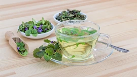 Bylinky podle horoskopu: Uvařte si čaj z léčivky, která odpovídá vašemu znamení