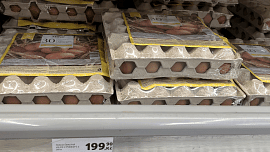 Drahé Velikonoce před námi: Ceny vajec půjdou nahoru, ke každoročnímu triku obchodů se přidala ptačí chřipka