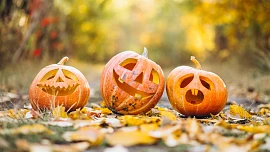 Průvodce halloweenskými dýněmi: Kdy je můžeme jíst, jakou si na vydlabání koupit i proč je svíčka rizikem Průvodce halloweenskými dýněmi: Kdy je můžeme jíst, jakou si na vydlabání koupit i proč je svíčka rizikem