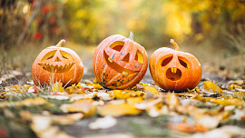 Průvodce halloweenskými dýněmi: Kdy je můžeme jíst, jakou si na vydlabání koupit i proč je svíčka rizikem