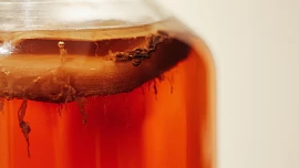 Hit sezóny: Domácí fermentace! Přinášíme snadný návod, jak na to