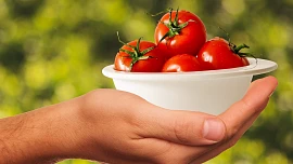 Jak nakupovat, skladovat a zpracovávat rajčata: Tipy, které se hodí, když nemáte zahradu