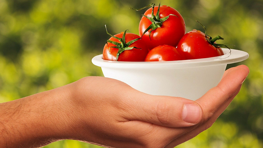 miska rajčat na ruce