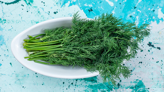 Jak pěstovat kopr doma i na zahradě: Výsev, světlo a zálivka bez chyb, kvůli kterým žloutne nebo neroste