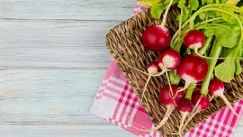 Ředkvičky jsou malé krásky s velkým účinkem. Která jejich část je nejzdravější?