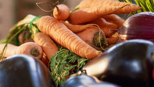 KVÍZ: Vyznáte se v sázení zeleniny v polovině dubna? Zjistěte, co by vám ještě určitě pomrzlo