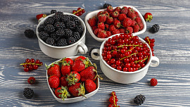 Jarní pěstování ovoce na balkóně: S našimi tipy proměníte i malý prostor v ovocnou zahrádku